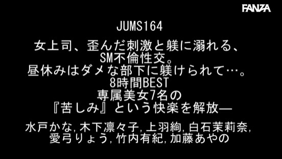 女上司、歪んだ刺激と躾に溺れる、SM不倫性交。 昼休みはダメな部下に躾けられて…。8時間BEST 専属美女7名の『苦しみ』という快楽を解放―